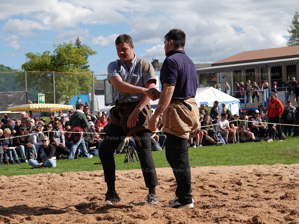 DSC07086 | Schwingen - Realisiert mit Pictrs.com