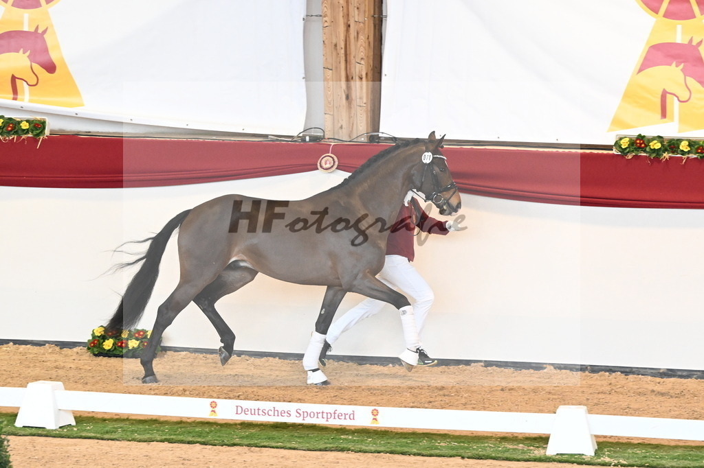 Kat.-Nr. 71 v. Va Bene_Müller_2240950 | hf-fotografie - Realisiert mit Pictrs.com