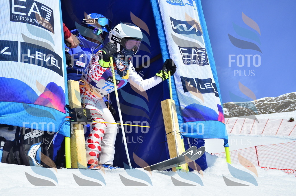 _ELE0340 | holidayphoto