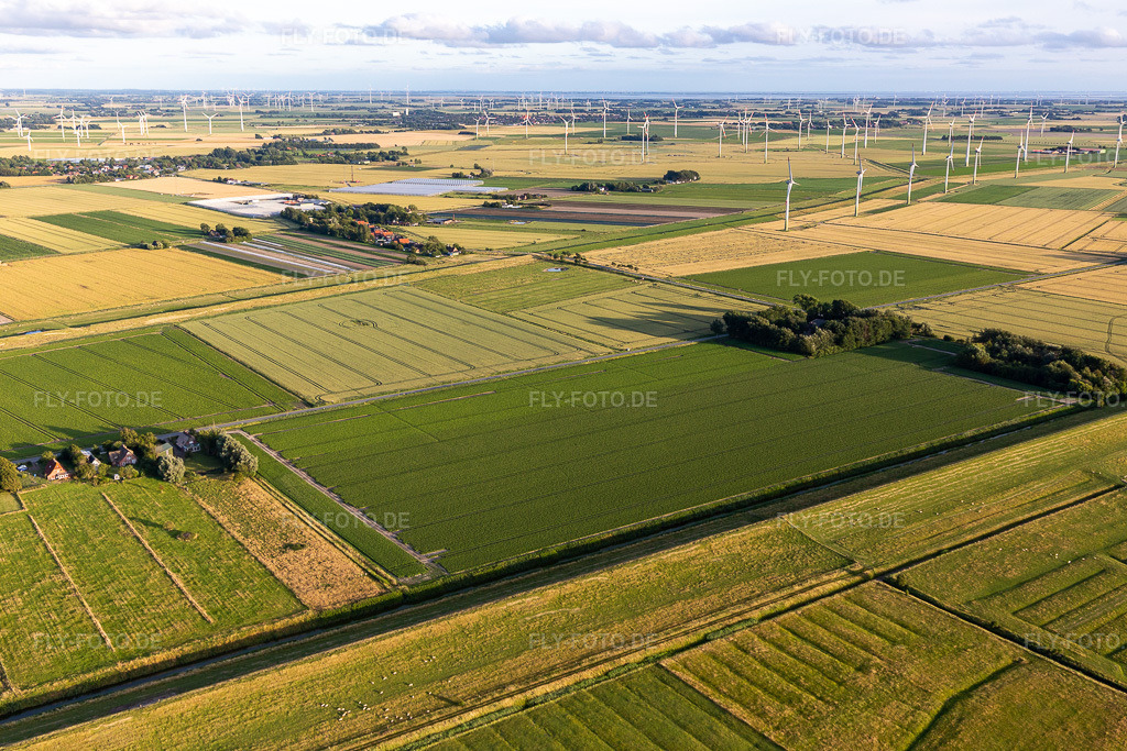Luftbild: Windenergieanlagen ( WEA ) - Windrad- auf einem Feld im Ortsteil Schülperweide in Schülp im Bundesland Schleswig-Holstein in Deutschland. – Foto: IMG_007836.jpg vom 08.07.2020 durch Werner Riehm/FLY-FOTO.de – Auflösung des Originals: 5472 x 3648 px