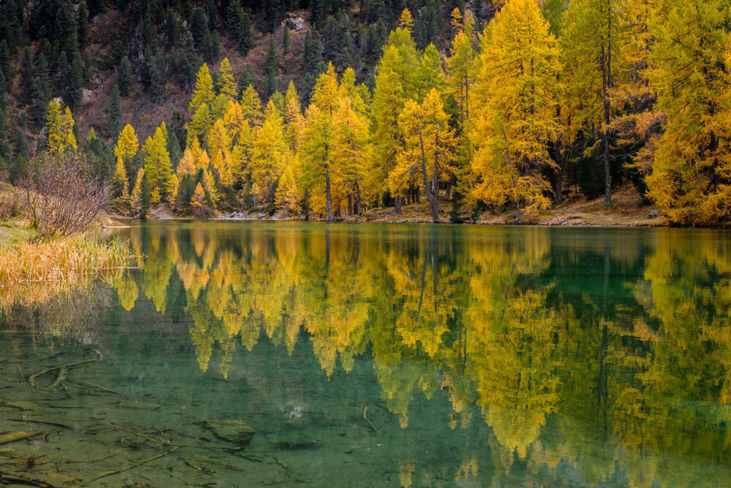 SilvanoPedrettPhotography_preview_Engadin-4 | silvanopedrett - Realisiert mit Pictrs.com