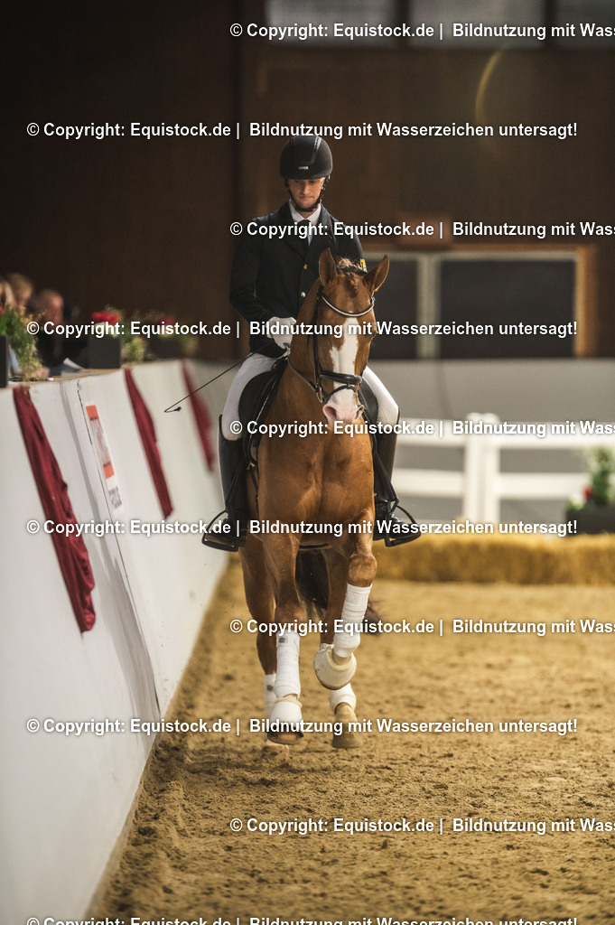20240302_Hengstvorstellung_Marbach_TOMsPiC_0564-2 | equistock