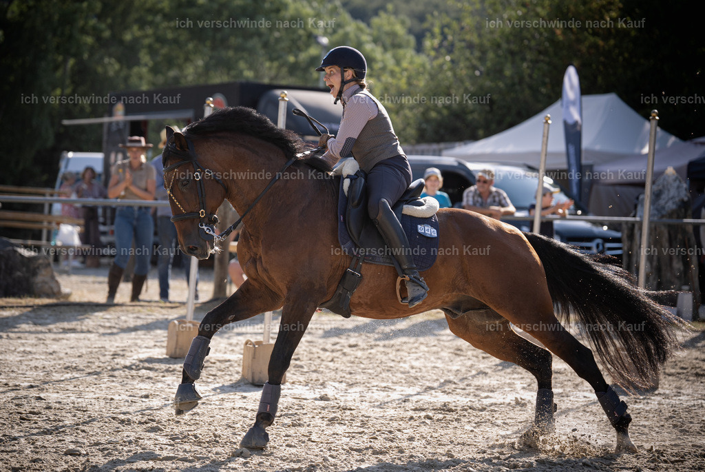 WS_SP_46_Stoibphotography_SO12472 | working equitationturnier fotograf videograf stoibphotography marixx film working equitation deutschland reitsport turnierfotografie eventfotografie equestrian events