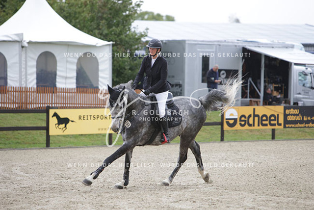 1J2A8212Britta Braunert_ Casino Brandy_ Kn144_ Havekost | Foto- und Videografie für alles rund ums Pferd. Hochwertige Bilder und Videos vom Spring- und Dressurreiten, Voltigieren & mehr. Jetzt aktuelle Veranstaltungen und Preise im Shop ansehen. - Realisiert mit Pictrs.com