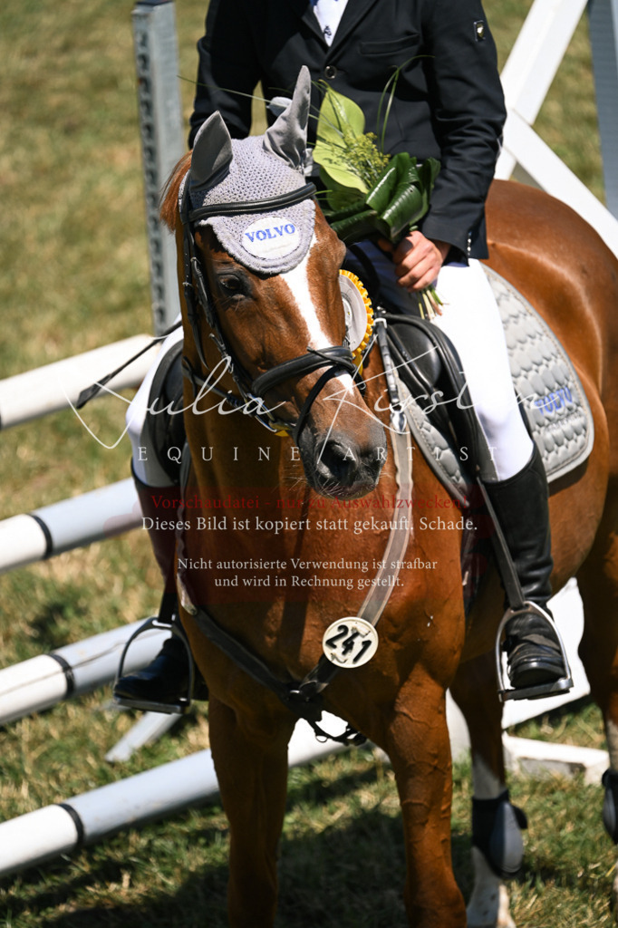 DSC_0052 | Pferde- und Turnierfotografie in Westsachsen. Pferdeportraits, Auftragszeichnungen und intuitive Kunst.