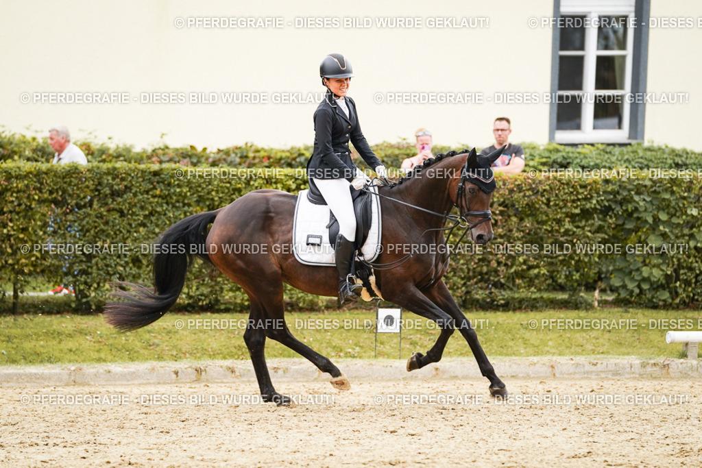 DSC00212 | Pferdegrafie