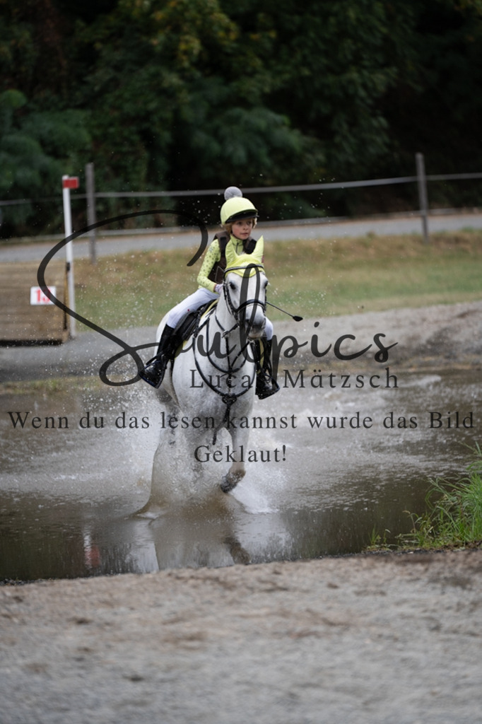 A7V01408 | Pferdefotograf