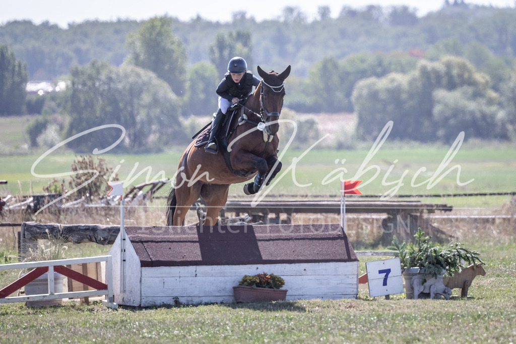 20260906-_3LI2823 | Tierfotografie Pferde, Hunde, Katzen, Haustiere.
Turnierfotografie Reitturniere, Reiten, Springreiten, Dressur in Hanau, dem Main-Kinzig-Kreis und dem Rhein-Main- Gebiet um Frankfurt