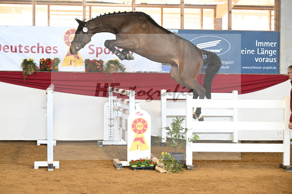 Kat-Nr. 33 Carassina S v. Chinchero_Schaefer_16250866 | hf-fotografie - Realisiert mit Pictrs.com