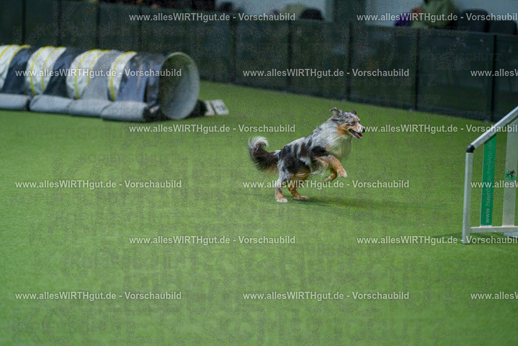 @allesWIRTHgut_Tierfotografie - www.allesWIRTHgut.de - 2604250841-7R507453 | Professionelle Tierfotografie in Mönchengladbach von Daniel Wirth (allesWIRTHgut). Liebevolle & natürliche Bilder von Hunden & Katzen für unvergessliche Erinnerungen.
