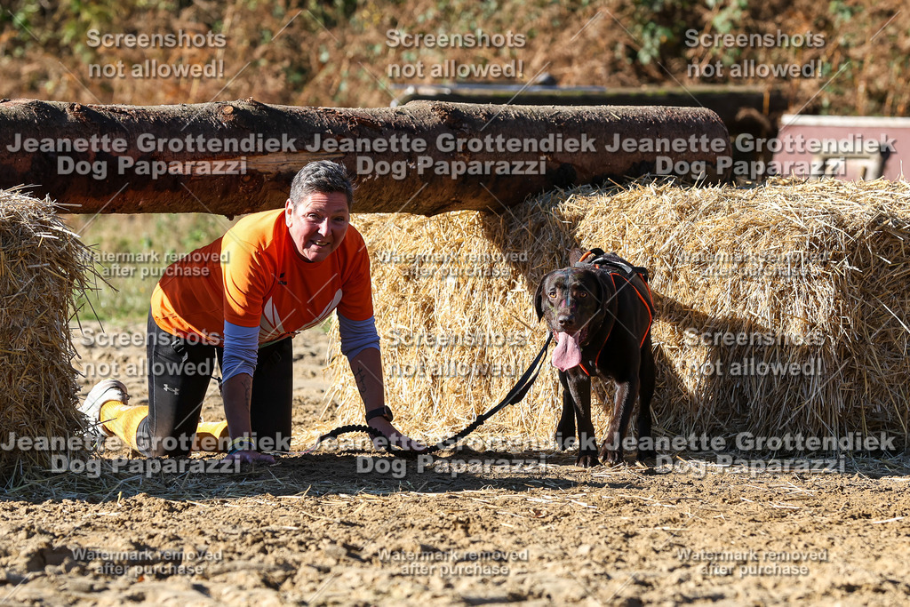 Dog Paparazzi - Strongdog 10-25-2582 | Dog Paparazzi Jeanette Grottendiek Fotografie & Videografie - Realisiert mit Pictrs.com