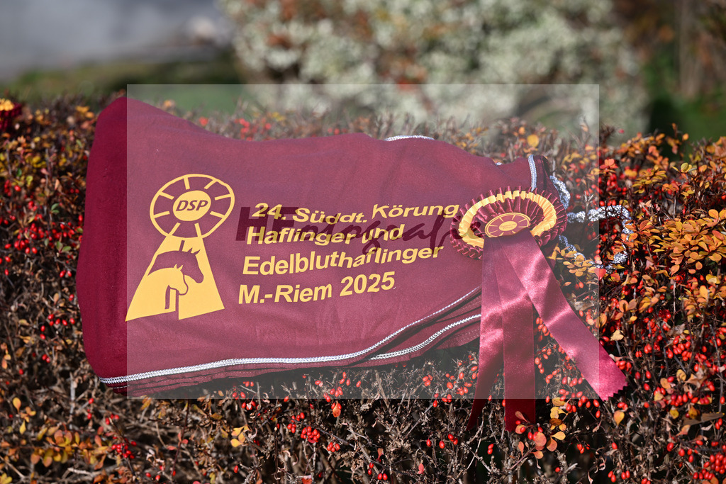 Impressionen Koerung_48250892 | hf-fotografie - Realisiert mit Pictrs.com