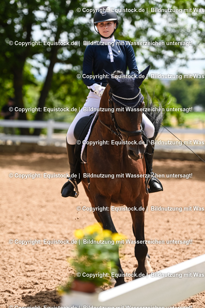 20230716_03_Dressurprfg. Kl.L - Tr._0279 | equistock