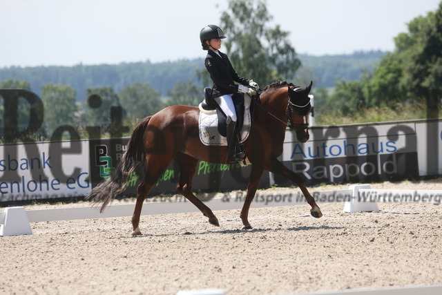 Rot am See_2024_Prfg.Nr.21_Qual.BCH_und_LCH_5-jähr.Ponys_Matilda Buchbach_Dundees Quadriga (2) | Alle Fotos der Reiterjournal Fotografin Doris Matthaes im Reiterjournal Online-Fotoshop. - Realisiert mit Pictrs.com