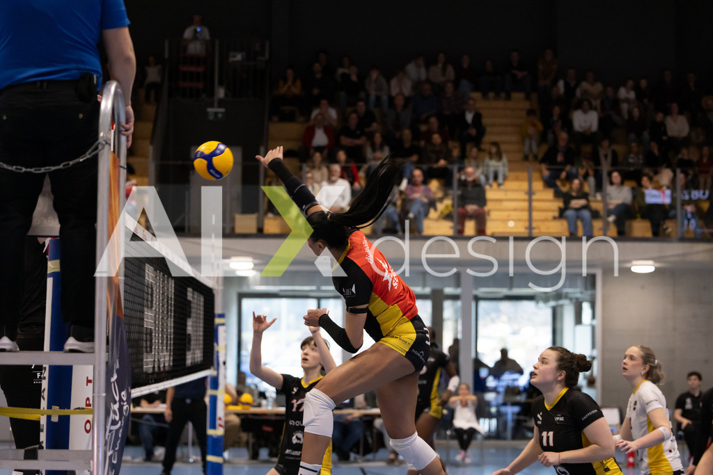 Volleyball I Frauen I Saison 2025-2026 I Volleyball NLA | Women I 1/4 Finals I  BIWI VFM - VC Kanti Schaffhausen I 01.03.2026 | 8 Letícia Bonardi (BR) (BIWI VFM) – Diagonalangriff - Realisiert mit Pictrs.com