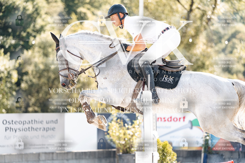 CK904410 | Turnierfotografie Pferdefotografie Trier Rheinland-Pfalz Pferdesport Reitsport Tierfotografie Sportfotografie Pferdevideo Pferdevideografie Equestrianvideography equestrianphotography  - Realisiert mit Pictrs.com