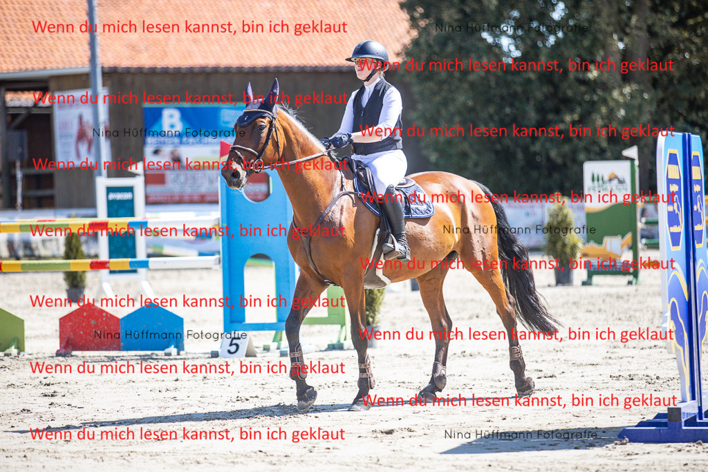 BK1A6710 | Turnierbilder Turnierfotos Nina Hüffmann Turnierfotografie Pferdefotografie Tierzeichnung Haustierzeichnung Pferdezeichnung Hundezeichnung Videograf  - Realisiert mit Pictrs.com
