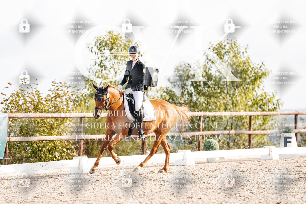 CK901108 | Turnierfotografie Pferdefotografie Trier Rheinland-Pfalz Pferdesport Reitsport Tierfotografie Sportfotografie Pferdevideo Pferdevideografie Equestrianvideography equestrianphotography  - Realisiert mit Pictrs.com