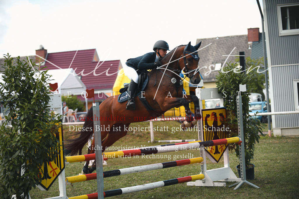 DSC_6450 | Pferde- und Turnierfotografie in Westsachsen. Pferdeportraits, Auftragszeichnungen und intuitive Kunst.