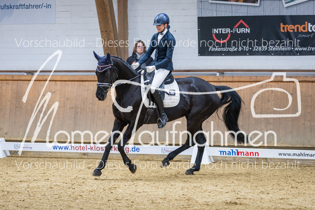 Sth-LPO25-A-Dr-084 | MomenTaufnahmen Pferdesportfotos