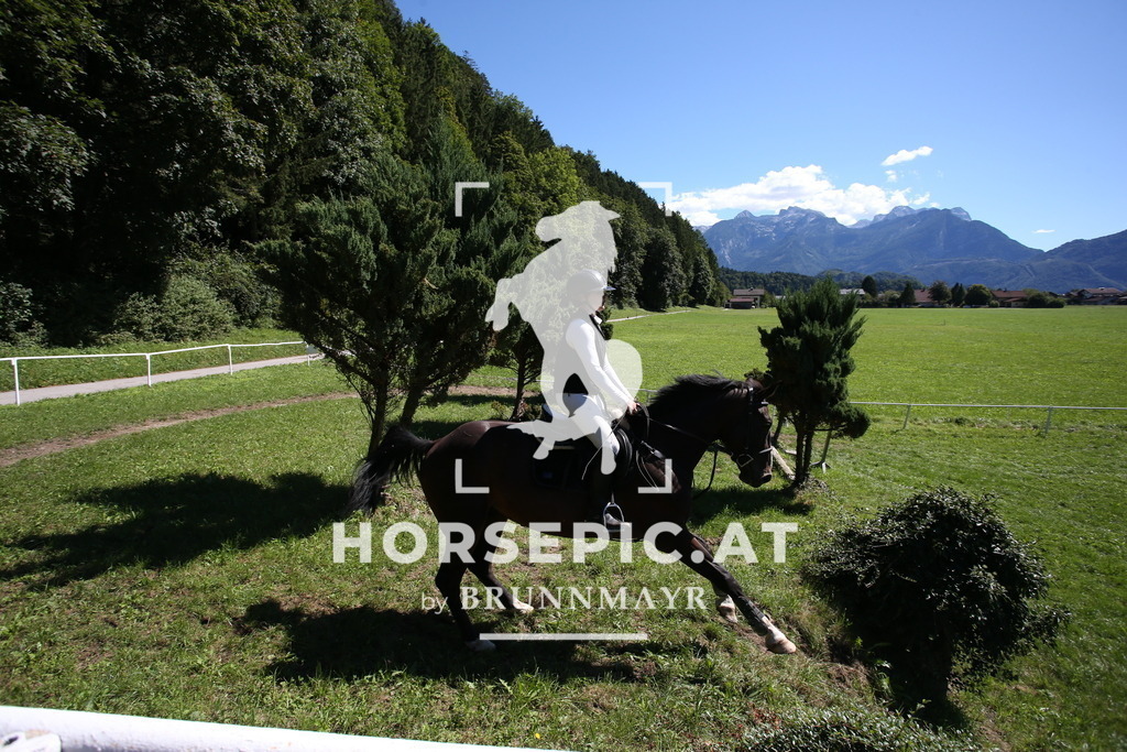 AS8V0089 | Willkommen bei Brunnmayr - Design & Fotografie – Ihrem Spezialisten für Reitturniere und Pferdeveranstaltungen in Oberösterreich, Salzburg und Bayern! Seit über 17 Jahren sind wir leidenschaftlich dabei.
