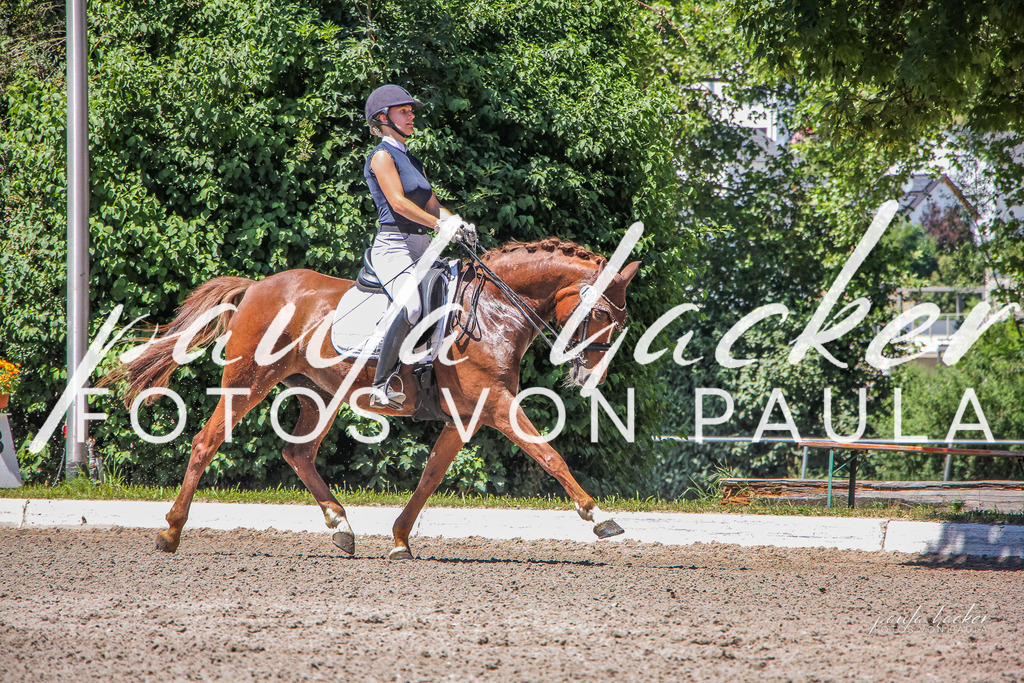 IMG_1142 | Erleben Sie dynamische Sport- und emotionale Tierfotografie in Süddeutschland mit Fotos von Paula. Spezialisiert auf Pferde- und Hundefotografie sowie Sportevents. Kontaktieren Sie mich für einzigartige und ausdrucksstarke Bilder Ihrer besonderen Momente. - Realisiert mit Pictrs.com
