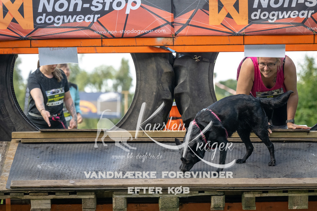 1551_ZZ94602-Bearbeitet | kk-dogfotos