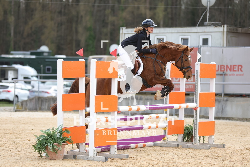 0P6A8101 | Willkommen bei Brunnmayr - Design & Fotografie – Ihrem Spezialisten für Reitturniere und Pferdeveranstaltungen in Oberösterreich, Salzburg und Bayern! Seit über 17 Jahren sind wir leidenschaftlich dabei.