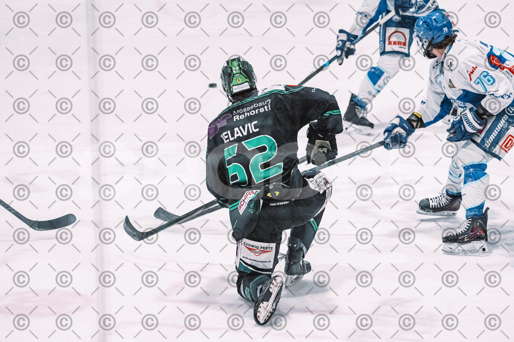 Alligators_vs_Riessersee_03_02_2026-16 | Höchstadt Alligators Fotogalerie: Eishockey-Action aus Franken. Professionelle Spielfotos, Portraits & Stadionbilder zum Download. Jetzt entdecken! - Realisiert mit Pictrs.com
