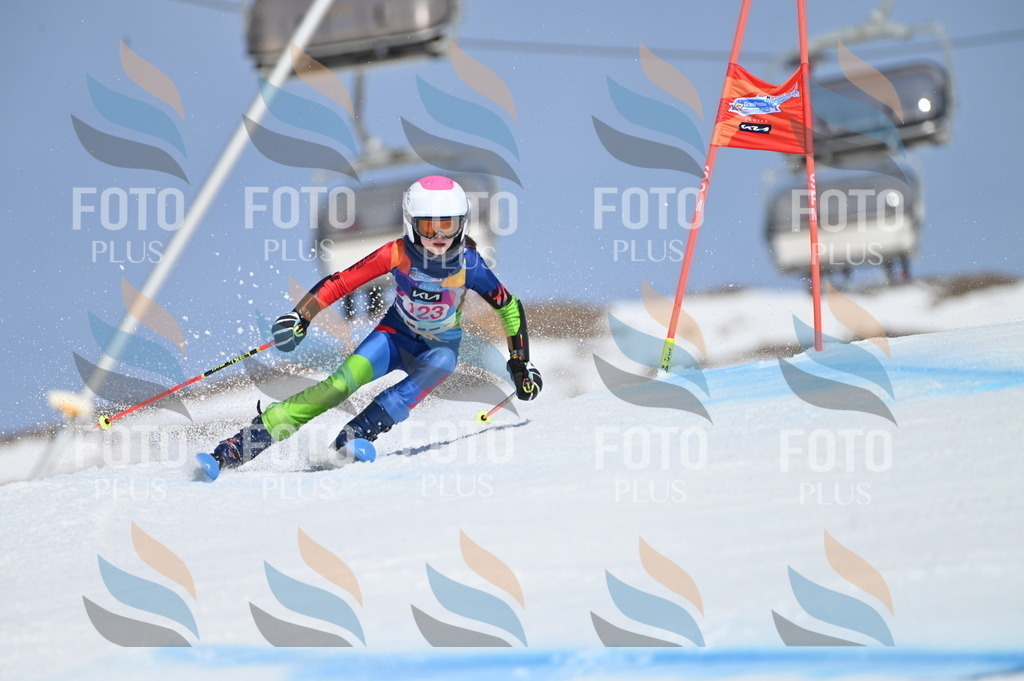 BGV_9852 | holidayphoto