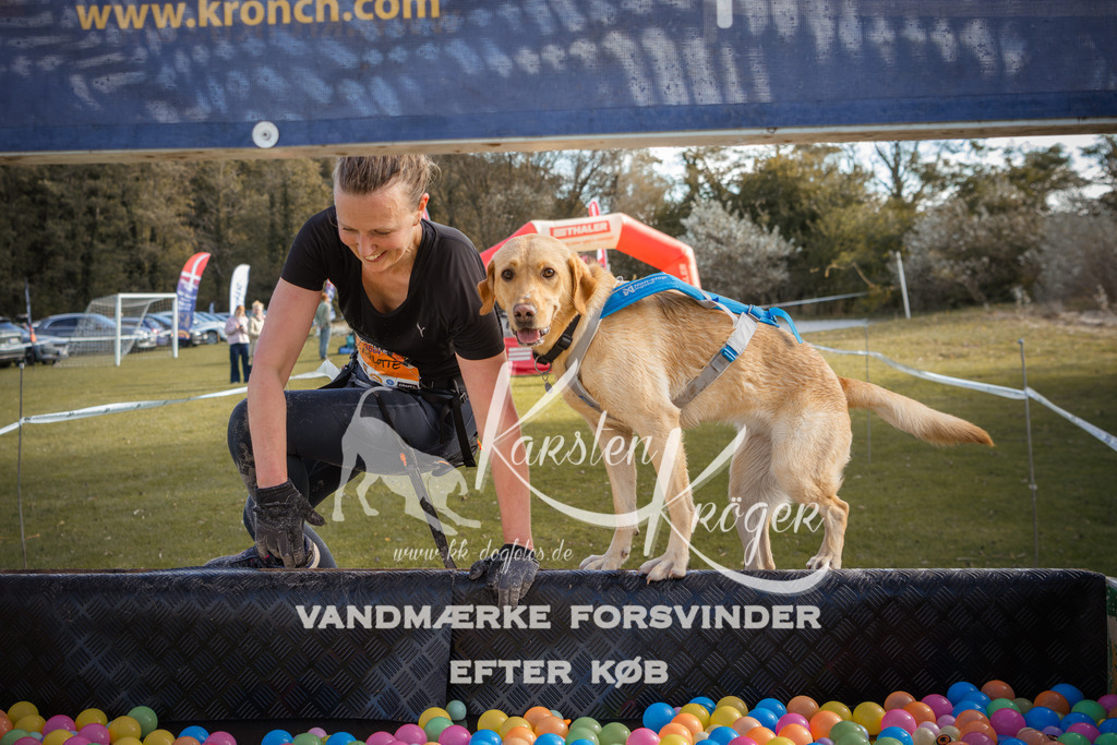 1313_ZZ99650-2 | kk-dogfotos
