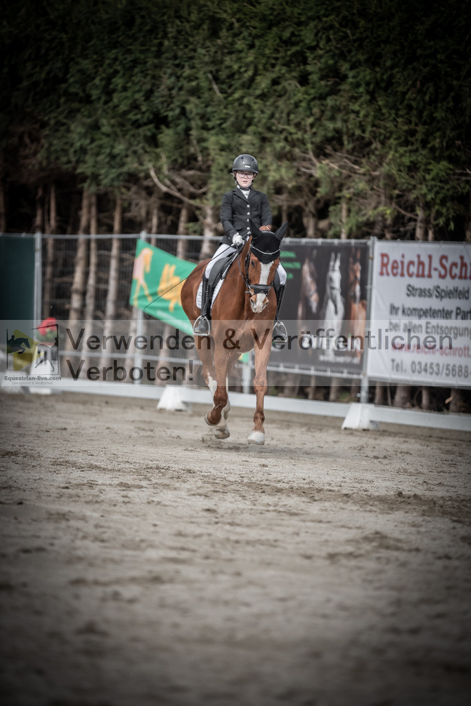 DSC_3263 | equestrian-live-com