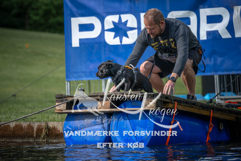 0837_ZZ99755 | kk-dogfotos