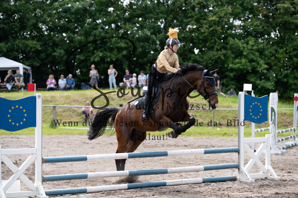 A7V04697 | Pferdefotograf