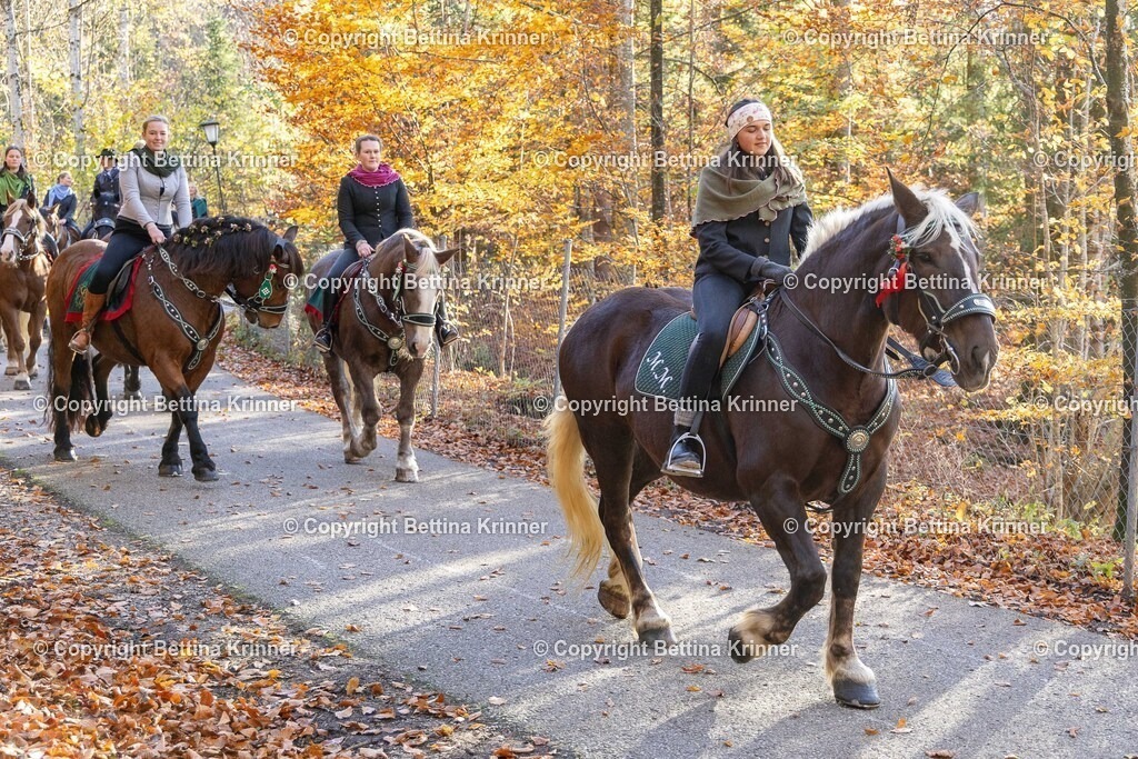 LL24-318 | foto-bettina-krinner - Realisiert mit Pictrs.com