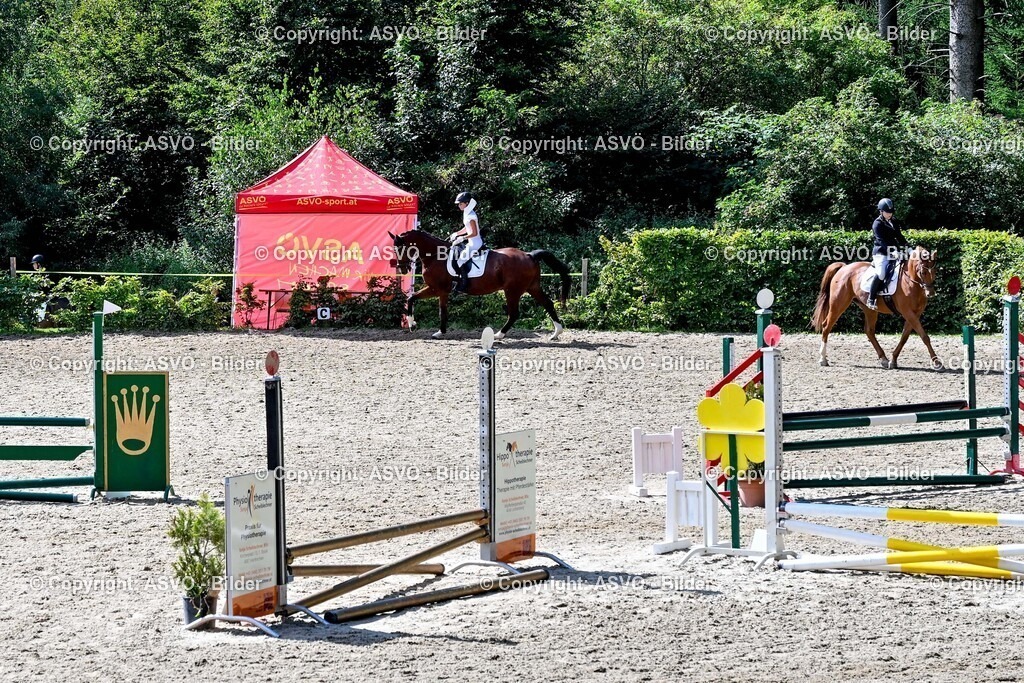 ASVÖ_ Reiten Bezirksmeisterschaft_ 24.08.2025-24 | 24.08.2025, AUT, ASVÖ, Reiten Bezirksmeisterschaft 2025Dressur und Springreiten©fodo.media / Harald Dostal - Realisiert mit Pictrs.com