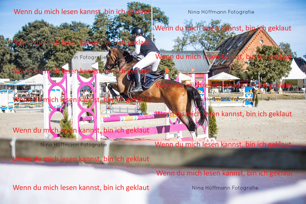 BK1A7468 | Turnierbilder Turnierfotos Nina Hüffmann Turnierfotografie Pferdefotografie Tierzeichnung Haustierzeichnung Pferdezeichnung Hundezeichnung Videograf  - Realisiert mit Pictrs.com