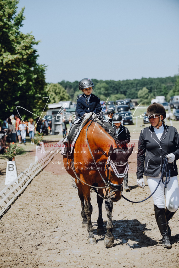 DSC_2422 | Pferde- und Turnierfotografie in Westsachsen. Pferdeportraits, Auftragszeichnungen und intuitive Kunst.