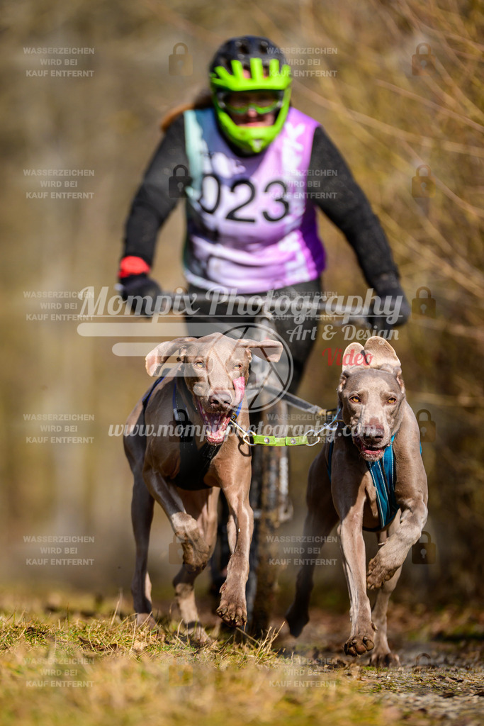 MompixPhotography_Schwabentrail2025_SO_DS2-49 | PayLife