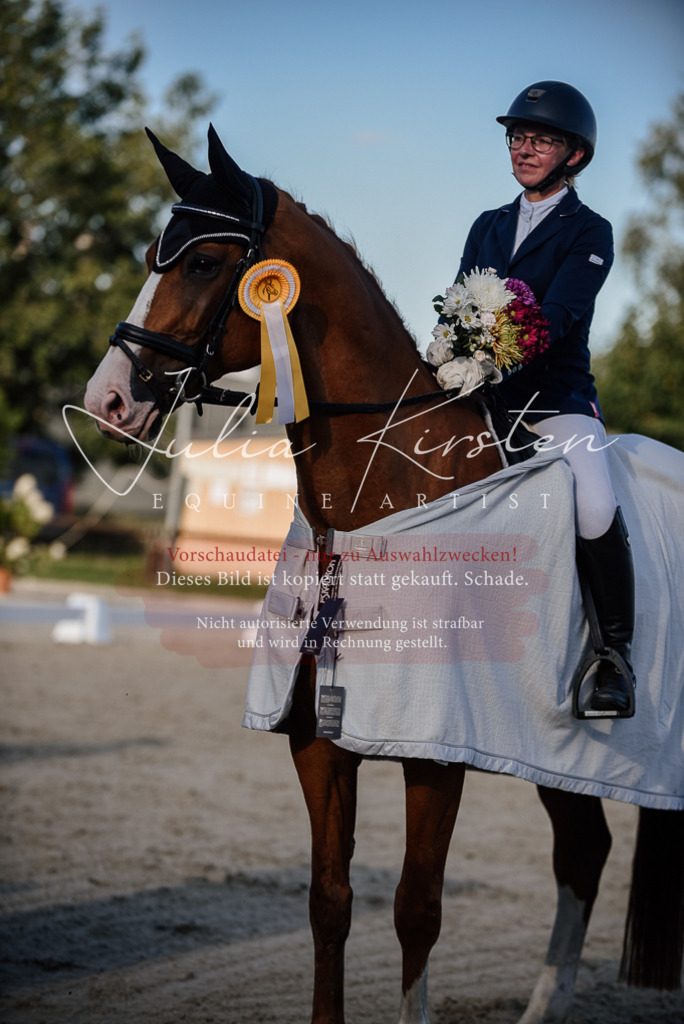 DSC_0721 | Pferde- und Turnierfotografie in Westsachsen. Pferdeportraits, Auftragszeichnungen und intuitive Kunst.
