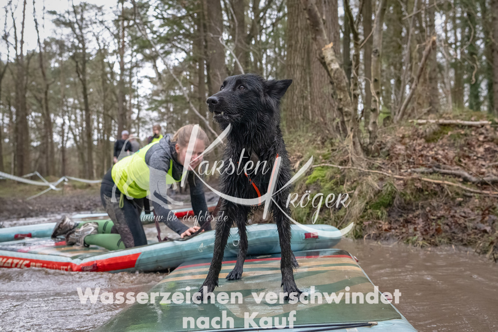 1126_ZZ92712-Bearbeitet | kk-dogfotos