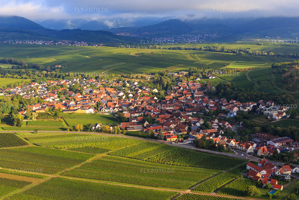Luftbild: Weinberge am südlichen Ortsrand in Ilbesheim bei Landau im Bundesland Rheinland-Pfalz in Deutschland. Foto: IMG_103315.jpg vom 10.09.2017 durch Werner Riehm/FLY-FOTO.de