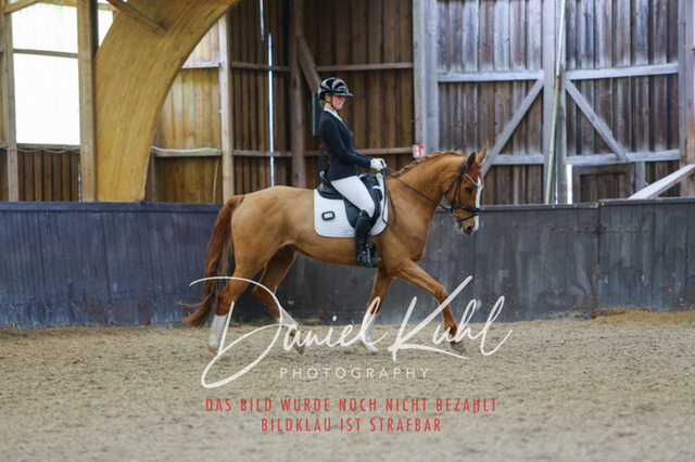 IMG_0462 | Turniersportfotografie; Pferdefotografie; Dressurfotografie