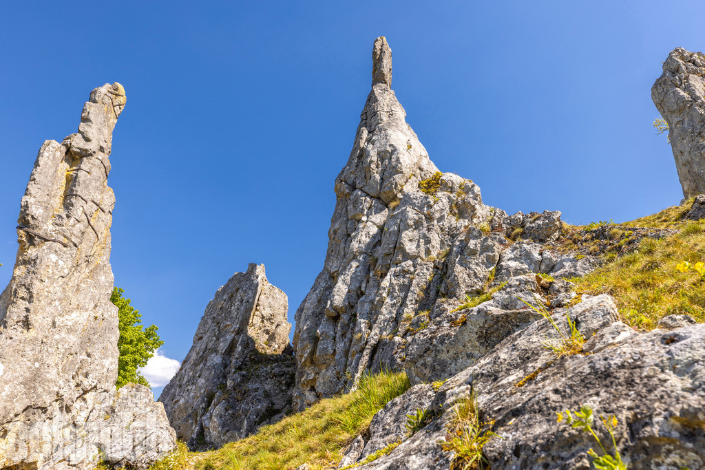 PS-SA-2026-05 | Entdecke die größte Bildgalerie der Region mit Fotografien aus dem Allgäu, der Bodenseeregion, Oberschwaben, dem Donautal und der Schwäbischen Alb. Landschaften, Luftaufnahmen und Reisefotografie als Wandbild und Fotokunst. - Realisiert mit Pictrs.com