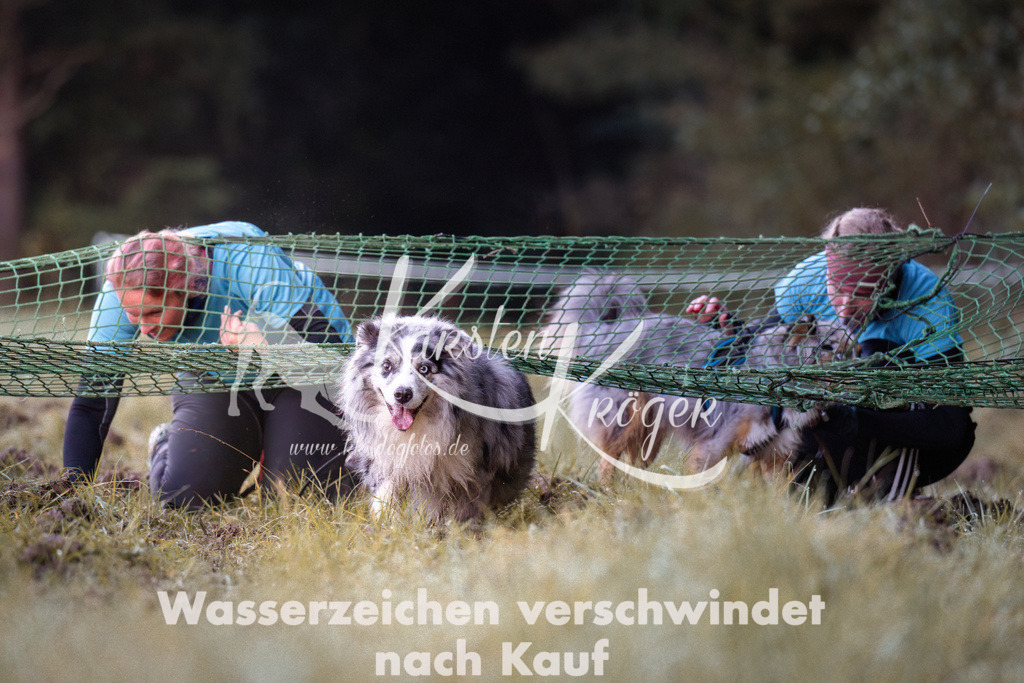 0816_ZZ90101 | kk-dogfotos