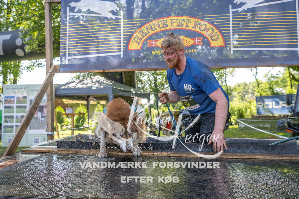 1453_ZZ94619 | kk-dogfotos