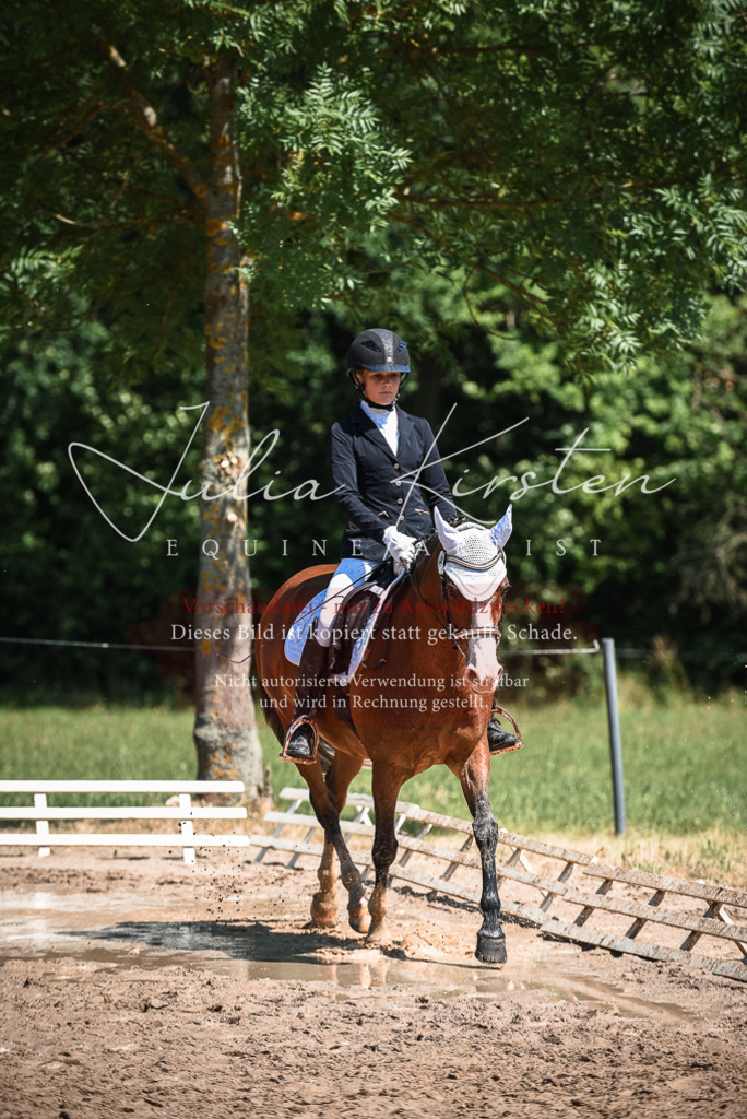 DSC_3162 | Pferde- und Turnierfotografie in Westsachsen. Pferdeportraits, Auftragszeichnungen und intuitive Kunst.
