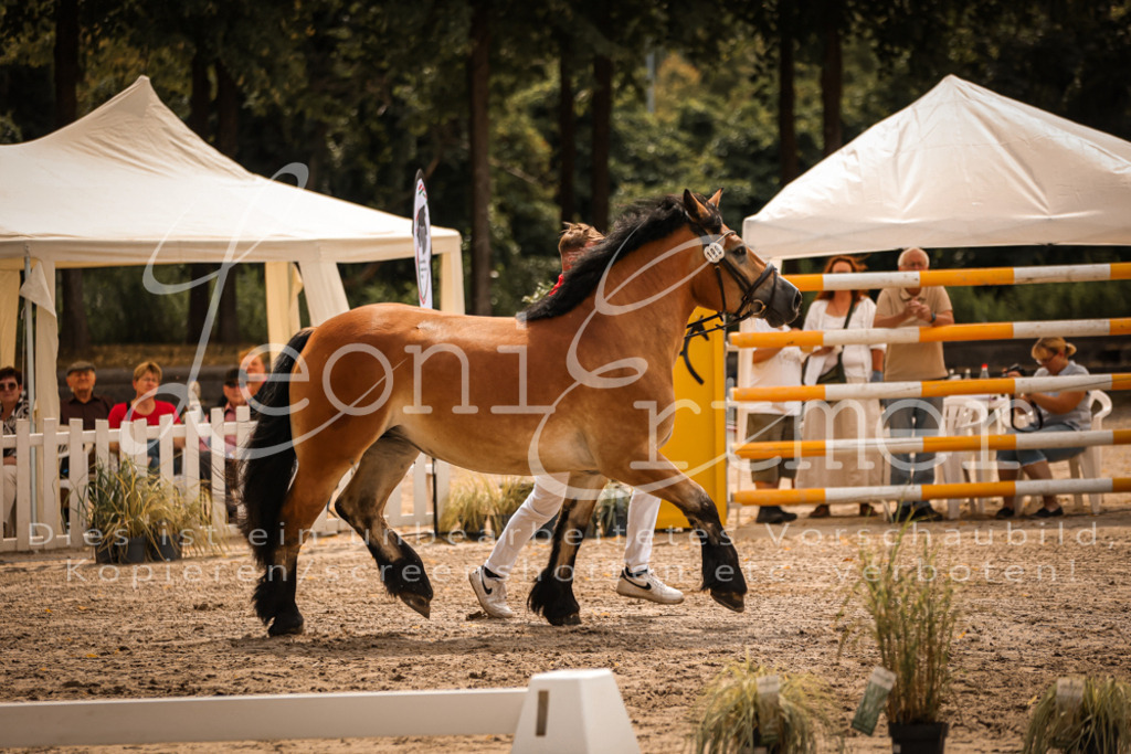 3.Sa00030 | Leoni Ertmer Photography - Realisiert mit Pictrs.com