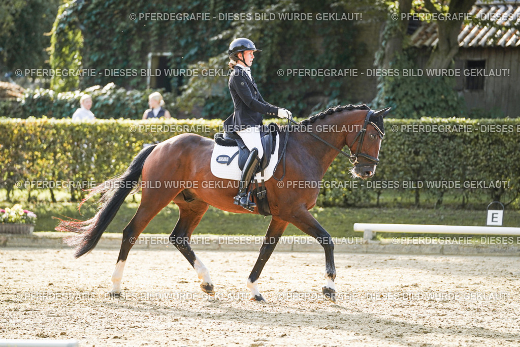 DSC05164 | Pferdegrafie