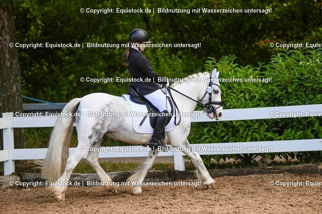 20230716_04_Dressurreiterprüfung Kl.A_0401 | equistock